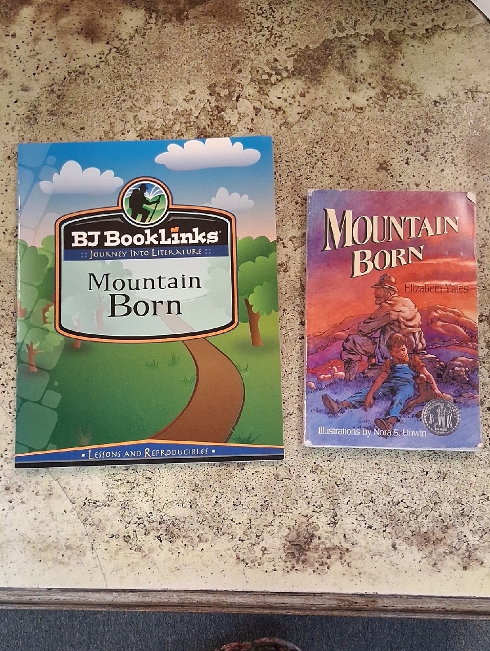 BJ BookLinks Mountain Born + Mountain Born Paperback Homeschool
